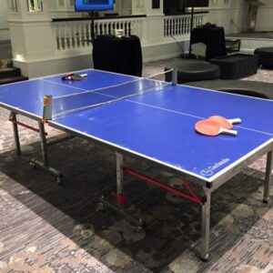 Ping Pong (Table Tennis) Table